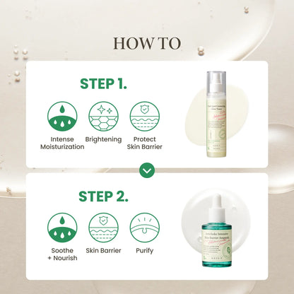 AXIS-Y the Complete Glass Skin Glow Set - Artichoke Intensive Skin Barrier Ampoule + Spot the Difference Blemish Spot Treatment + Vegan Collagen Eye Serum + Dark Spot Correcting Toner & Cream Vegan Korean Skin Care Bundle