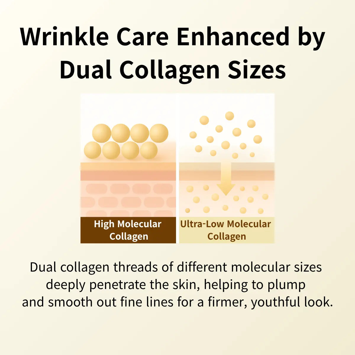 [Sungboon] Complete Firming Care Trio | Retinol, Collagen & Peptide Essentials for Hydration, Elasticity & Radiance Korean Hydrate Moisture Daily Lightweight